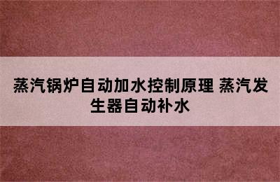 蒸汽锅炉自动加水控制原理 蒸汽发生器自动补水